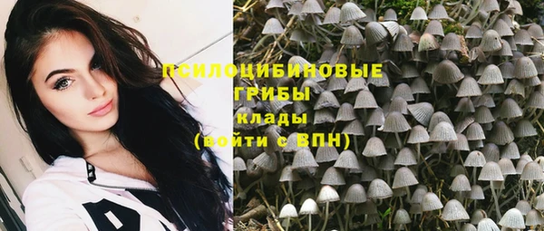PSILOCYBIN Алексин