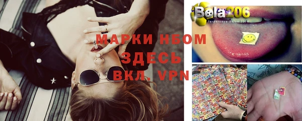 винт Алзамай