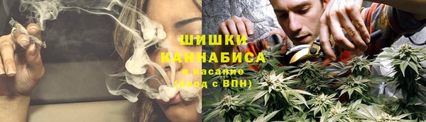 гидропоника Абаза
