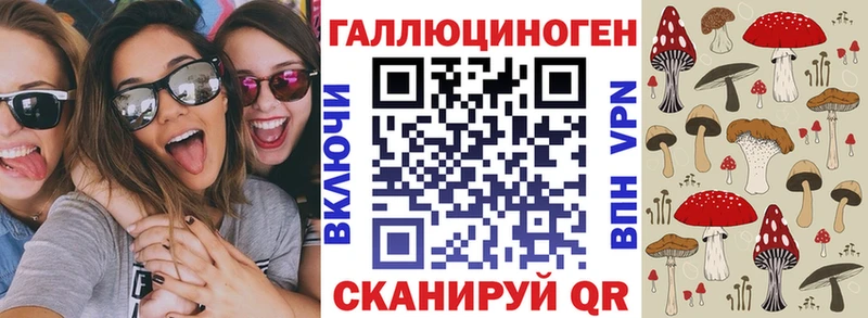 Псилоцибиновые грибы Psilocybe  Мирный 